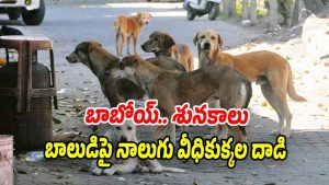 Stray-Dogs (Image source X)