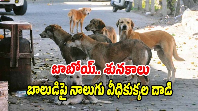 Stray-Dogs (Image source X)