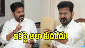 CM Revanth Reddy ( image credit: twitter)