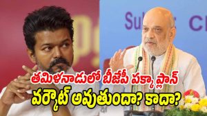 Vijay-BJP-Tamil Nadu (Image source X)