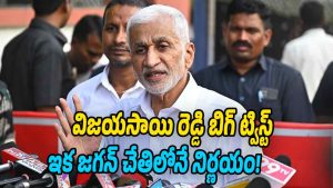 Former YSRCP leader Vijayasai Reddy speaking to media after ED inquiry, hinting at political comeback