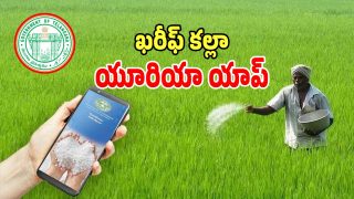 Urea App (imagecredit:swetcha)
