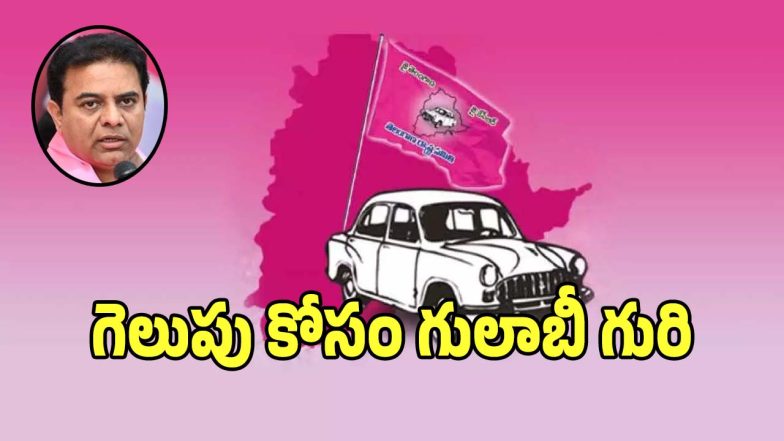 Municipal Elections (imagecredit:twitter)