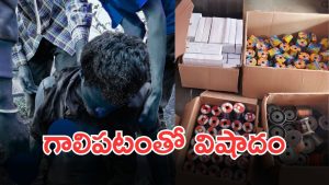 kite Accident (imagecredit:swetcha)