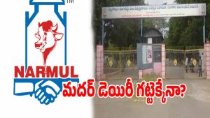 Narmul Mother Dairy (imagecredit:twitter)