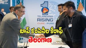 CM Revanth Reddy (imagecrdit:swetcha)