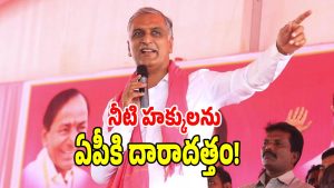Harish Rao ( image credit: swetcha reporter)