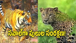 Forest Department 9 image credit: swetcha reporter)