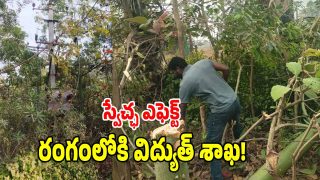 Swetcha Effect( image credit: swetcha reporter)