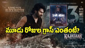 the-rajasab-collectioms