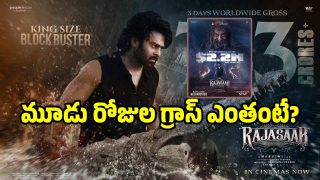 the-rajasab-collectioms