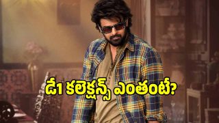 the-rajasab-collections