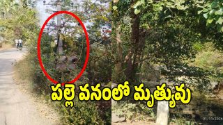 Huzurabad News: పల్లె ప్రకృతి వనంలో పొంచి ఉన్న మృత్యువు.. హైటెన్షన్ వైర్లతో అల్లుకున్న వనం..!